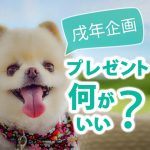 アンシャンテラボ 戌年企画 プレゼントは何がいい？