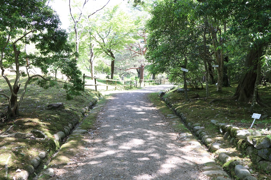 20180501 3 - 春日大社神苑・萬葉植物園へ行ってきました。