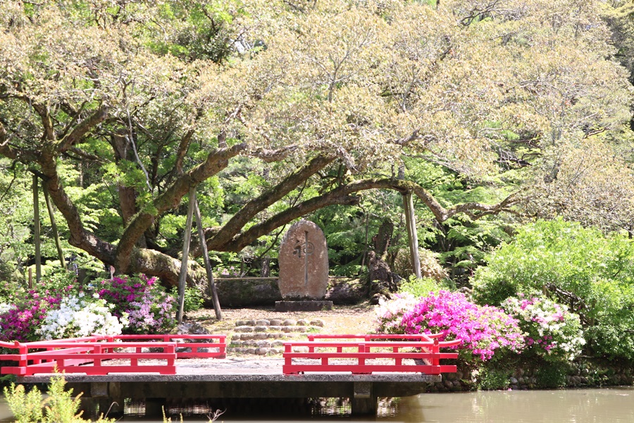 20180501 8 - 春日大社神苑・萬葉植物園へ行ってきました。