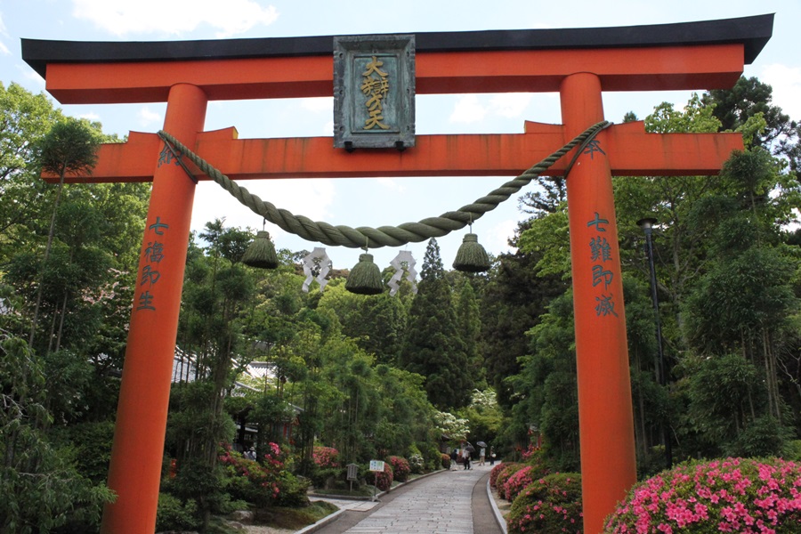 20180513 8 - バラのお寺・霊山寺