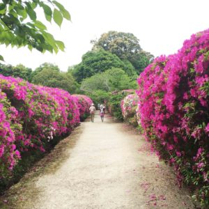 5tutuji 300x300 - 日本最古の道　山野辺の道