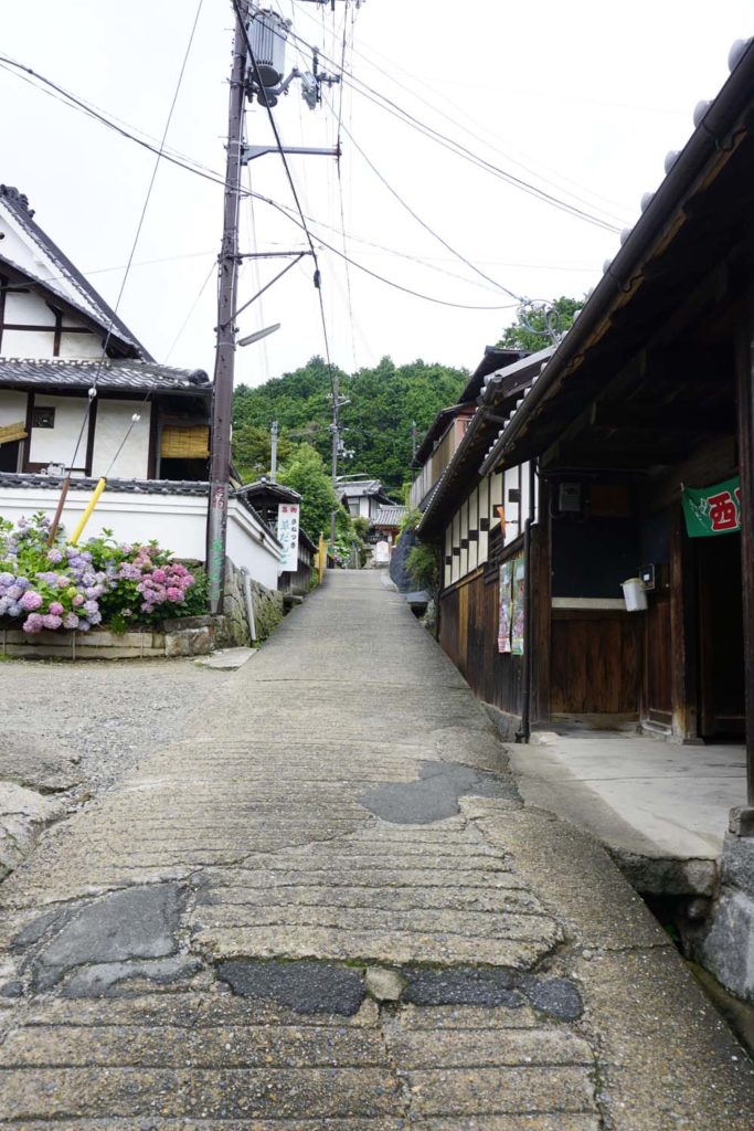 DSC1582 683x1024 - 矢田寺・あじさい園