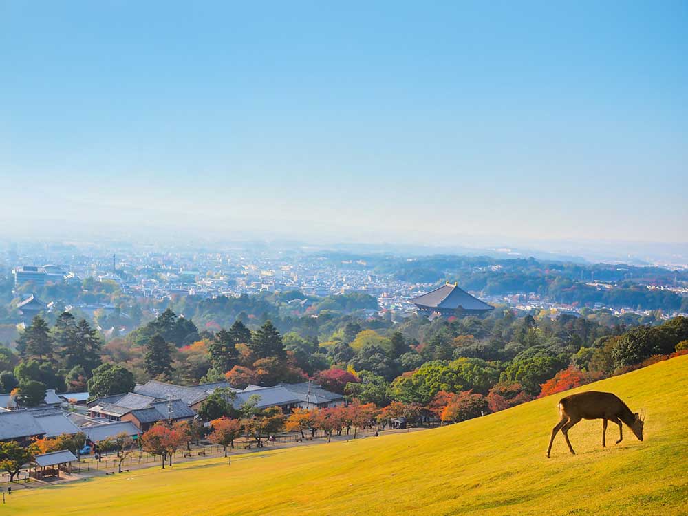 nara - 奈良のゆるキャラ★せんとくんグッズ始めました