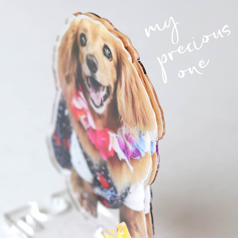 ペットの写真で作るアクリルスタンド!愛犬の写真でオリジナルグッズ。ペットメモリアルギフト アンシャンテラボ アクリルスタンドになる 写真 キーホルダー 犬 です ペットのオリジナルグッズを作ってみませんか? 飾れる写真 キーホルダー ペットグッズ 犬 愛犬 飾れるキーホルダー 特注品 1個増量 10 25 0時~11 23:59まで 写真 キーホルダー 犬 うちの子 両面キーホルダー 立てて飾れるキーホルダー アクリルスタンド 写真 犬 ペット・ペットグッズ 犬用品 オーナーズグッズ キーホルダー 愛犬 記念品 誕生日ギフト イチオシ 2P