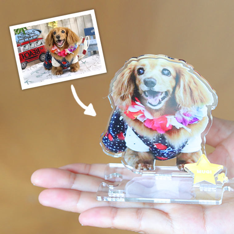 ペットの写真で作るアクリルスタンド!愛犬の写真でオリジナルグッズ。ペットメモリアルギフト アンシャンテラボ アクリルスタンドになる 写真 キーホルダー 犬 です ペットのオリジナルグッズを作ってみませんか? 飾れる写真 キーホルダー ペットグッズ 犬 愛犬 飾れるキーホルダー 特注品 1個増量 10 25 0時~11 23:59まで 写真 キーホルダー 犬 うちの子 両面キーホルダー 立てて飾れるキーホルダー アクリルスタンド 写真 犬 ペット・ペットグッズ 犬用品 オーナーズグッズ キーホルダー 愛犬 記念品 誕生日ギフト イチオシ 2P