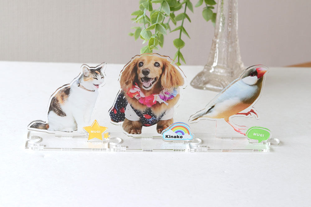 大切なペットをアクリルスタンドにしませんか？ 犬 猫 愛犬 愛猫 鳥 文鳥 インコ うさぎ 亀 ペット 写真入り メモリアル メモリアルグッズ グッズ  スマホ 画像 写真 かわいい かんたん オーダーメイド オリジナル 記念 記念品 誕生日 フォト 思い出 アクリル スタンド ...