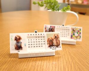 1.5 300x240 - わんちゃんの万年カレンダーを作成しました！ペットの愛犬でオリジナルグッズを作る。