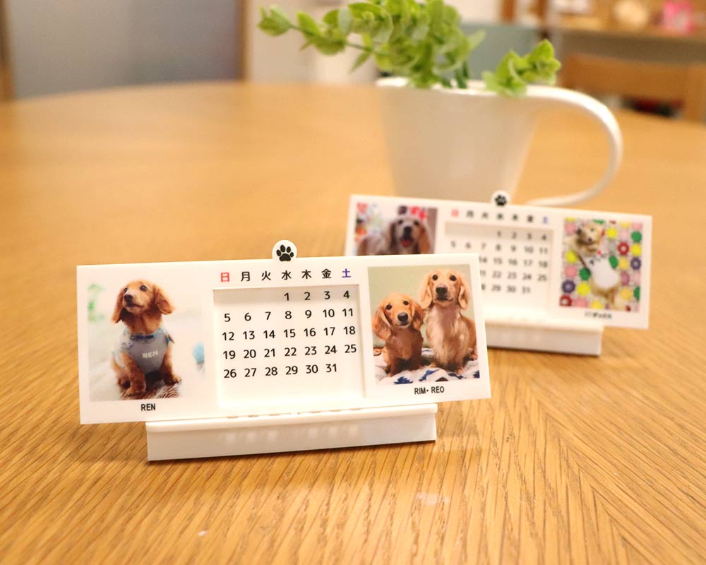 1.5 - わんちゃんの万年カレンダーを作成しました！ペットの愛犬でオリジナルグッズを作る。