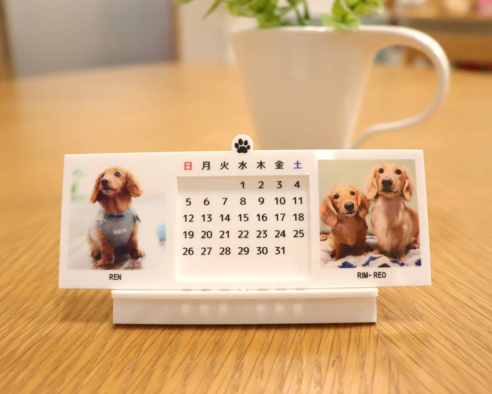 わんちゃんの万年カレンダーを作成しました ペットの愛犬でオリジナルグッズを作る アンシャンテラボ