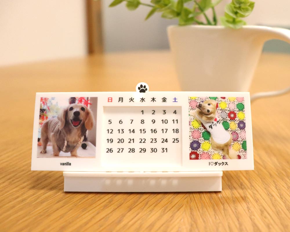 3 - わんちゃんの万年カレンダーを作成しました！ペットの愛犬でオリジナルグッズを作る。