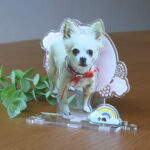 add5c29baef6b82cf312b124ea4396de 150x150 - アクリルスタンドのアレンジのご注文事例。愛犬のメモリアルの為に。