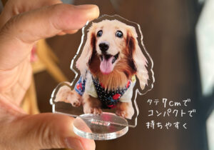 ペットのアクスタ・小さめでコスパよし