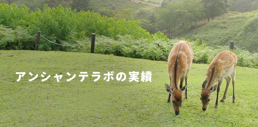 アンシャンテラボの実績