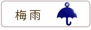 梅雨チャーム