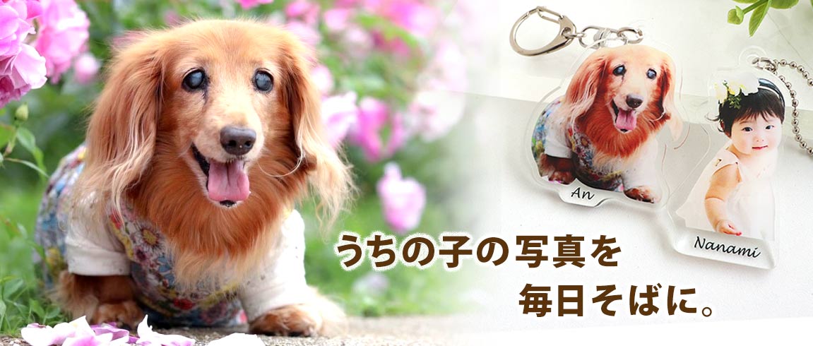 ペット・うちの子の写真を、毎日そばに。犬猫、子どものキーホルダー