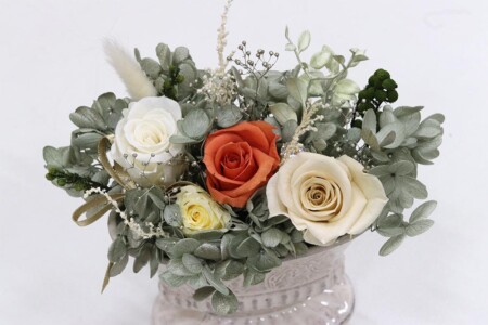 Look at me!! Look at me!!